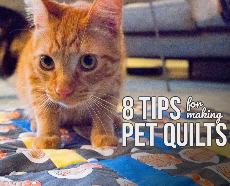 8 Tips for Making Pet Quilts