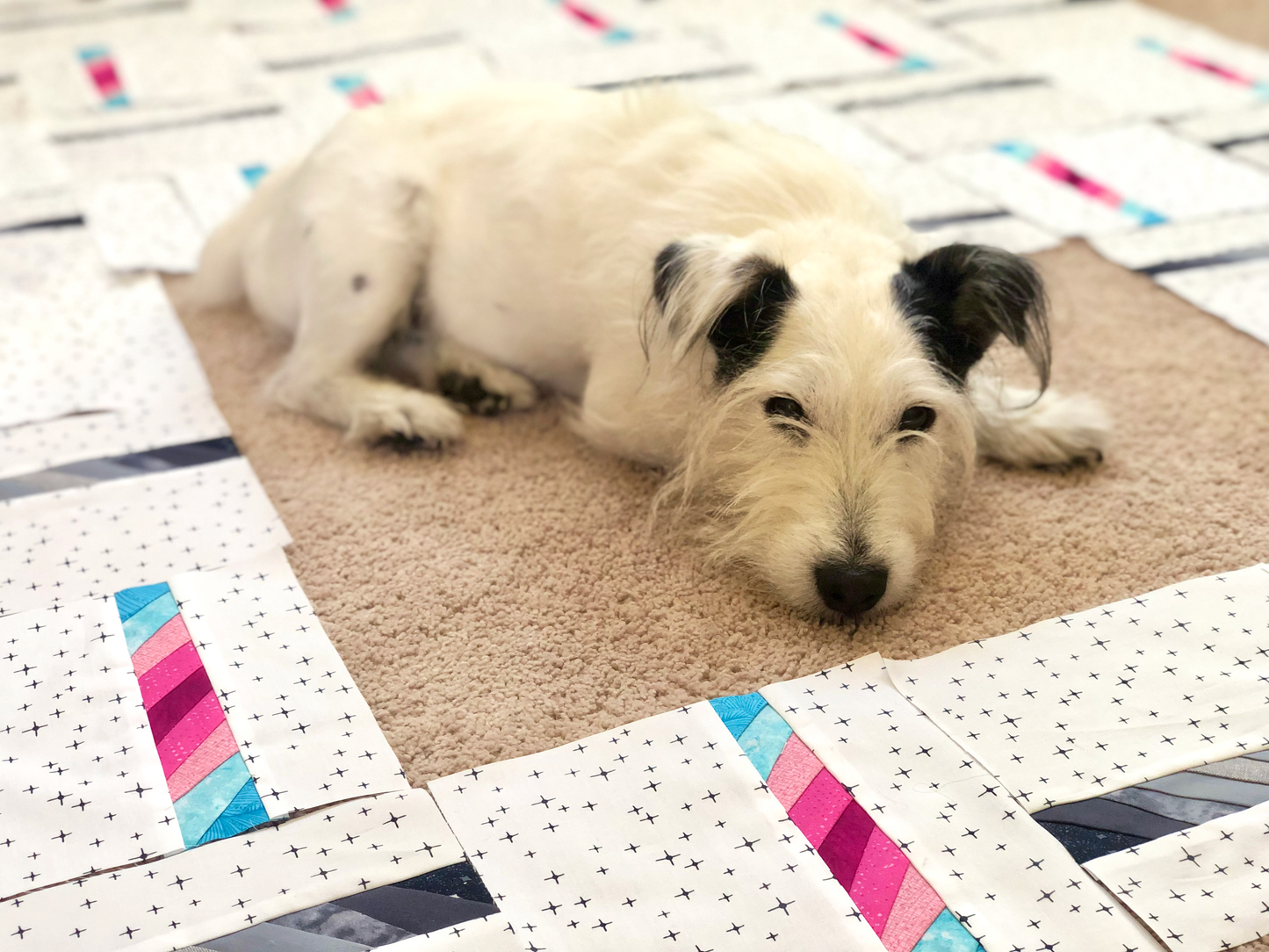 Loosely Held Quilt Pattern